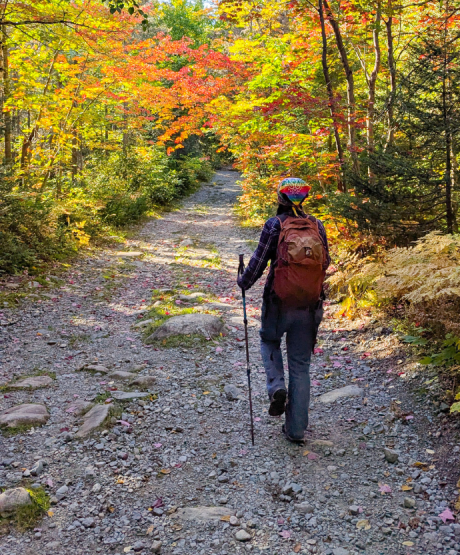 Femme qui marche dans un sentier avec un bâton de marche à l'automne3